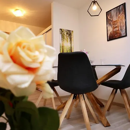 Apartmán Ameisenpfad - Gemuetlichkeit Und Panorama - Mein Swh Todtmoos