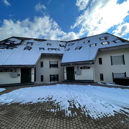 Ameisenpfad - Gemuetlichkeit Und Panorama - Mein Swh * Todtmoos