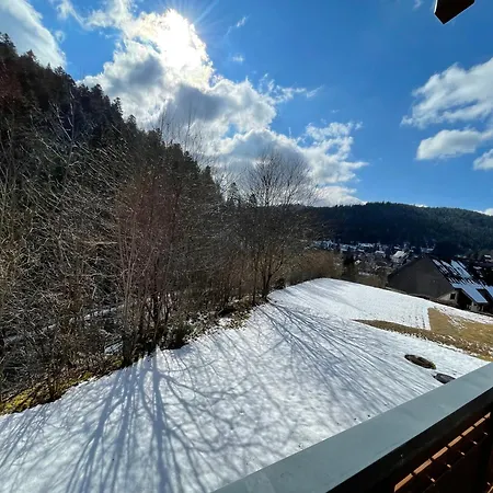 Ameisenpfad - Gemuetlichkeit Und Panorama - Mein Swh Apartmán *