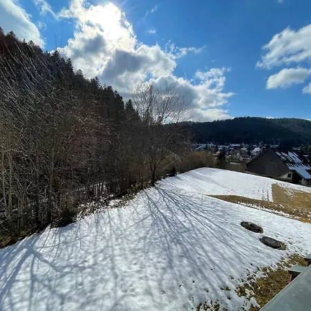Ameisenpfad - Gemuetlichkeit Und Panorama - Mein Swh * Todtmoos